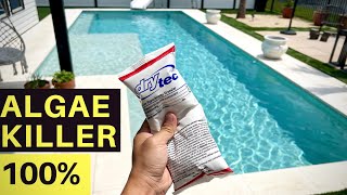 Drytec Pool Shock - BEST EVER - Crystal Clear Water
