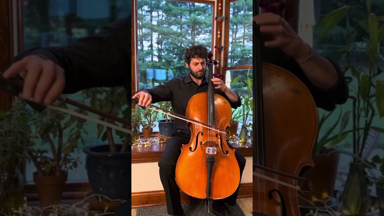 “Can You Feel the Love Tonight” by Elton John. Covered by Dan Kassel on cello
