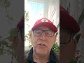 VOLEYBOL'DA ZİRAATBANKART CEV ŞAMPİYONLAR LİGİNDE 4.LÜ FİNALDE ILK MAÇINI BUGÜN OYNUYOR...