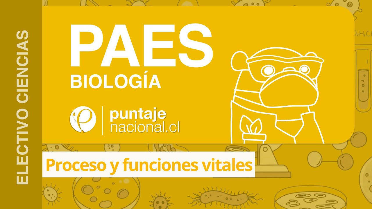 PAES | Biología | Proceso y funciones vitales