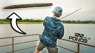 This Fishing Worm Is A CHEAT CODE! (Catch 5x More Bass)