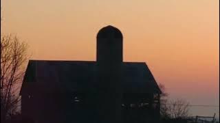 Simply The Best - Billianne [ Visualizer]