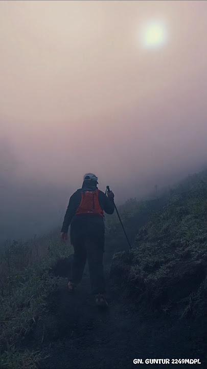 KEINDAHAN JALUR GUNUNG GUNTUR           #pendakigunungindonesia #gunungguntur #shorts #fyp #pendaki