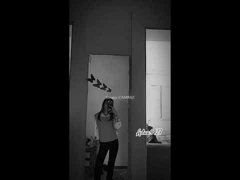 Hain dolu