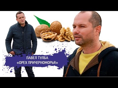 БИЗНЕС ПО ВЫРАЩИВАНИЮ ГРЕЦКОГО ОРЕХА  / Смешанные сады / STARTUP