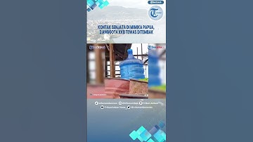 Kontak Senjata di Mimika Papua, 2 Anggota KKB Tewas Ditembak