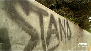 Suspected Bay Area Serial Tagger Arrested
