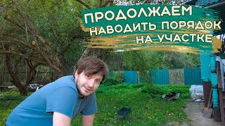 видео: Приводим участок на даче в порядок: уборка и вывоз мусора картинка: Приводим участок на даче в порядок: уборка и вывоз мусора