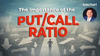 The Importance of the Put/Call Ratio