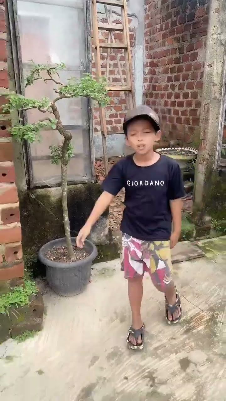 Vidio kocak dan gokil @nyaikembang1nyaikembang1 /penyesalan datang terakhir?