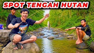 FISHING IN A JUNGLE RIVER ?? Catching LOTS OF FISH ??