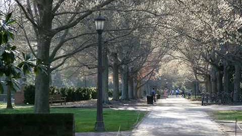 Open Source Learner Application - Rachel Patterson