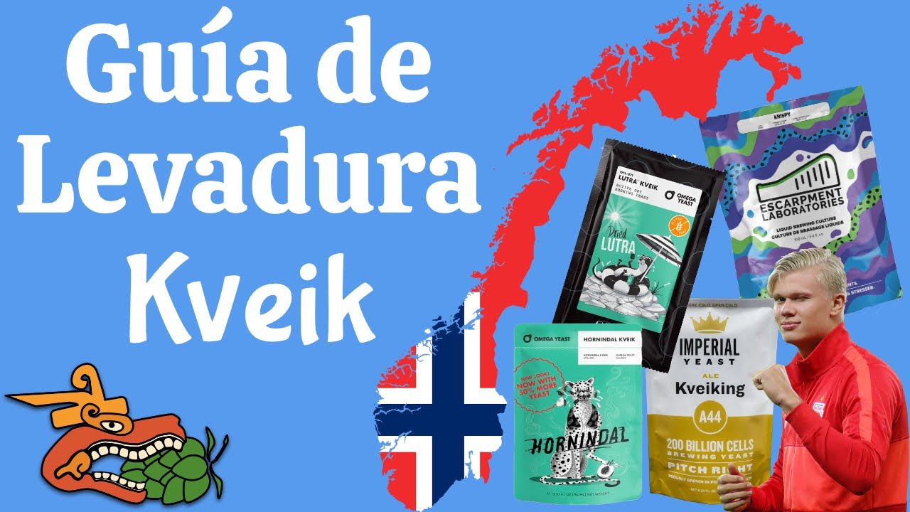 Cómo hacer Cerveza con levadura Kveik