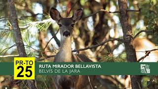Pr-25 Belvís De La Jara