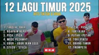Download lagu TANPA IKLAN LAGU TIMUR 2025 | HITS TIKTOK & VIRAL - TABOLA BALE - NGAPAIN REPOT - ORANG TIMUR