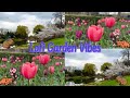 Lofi Garden Vibes