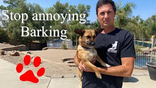 Fix Barking Fast