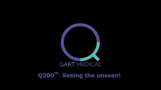 Q300 Demo - Seeing The Unseen Japanese Audio