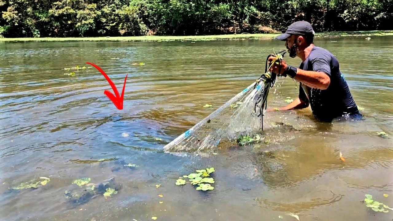 Não é fácil agarrar Peixe desse tamanho...