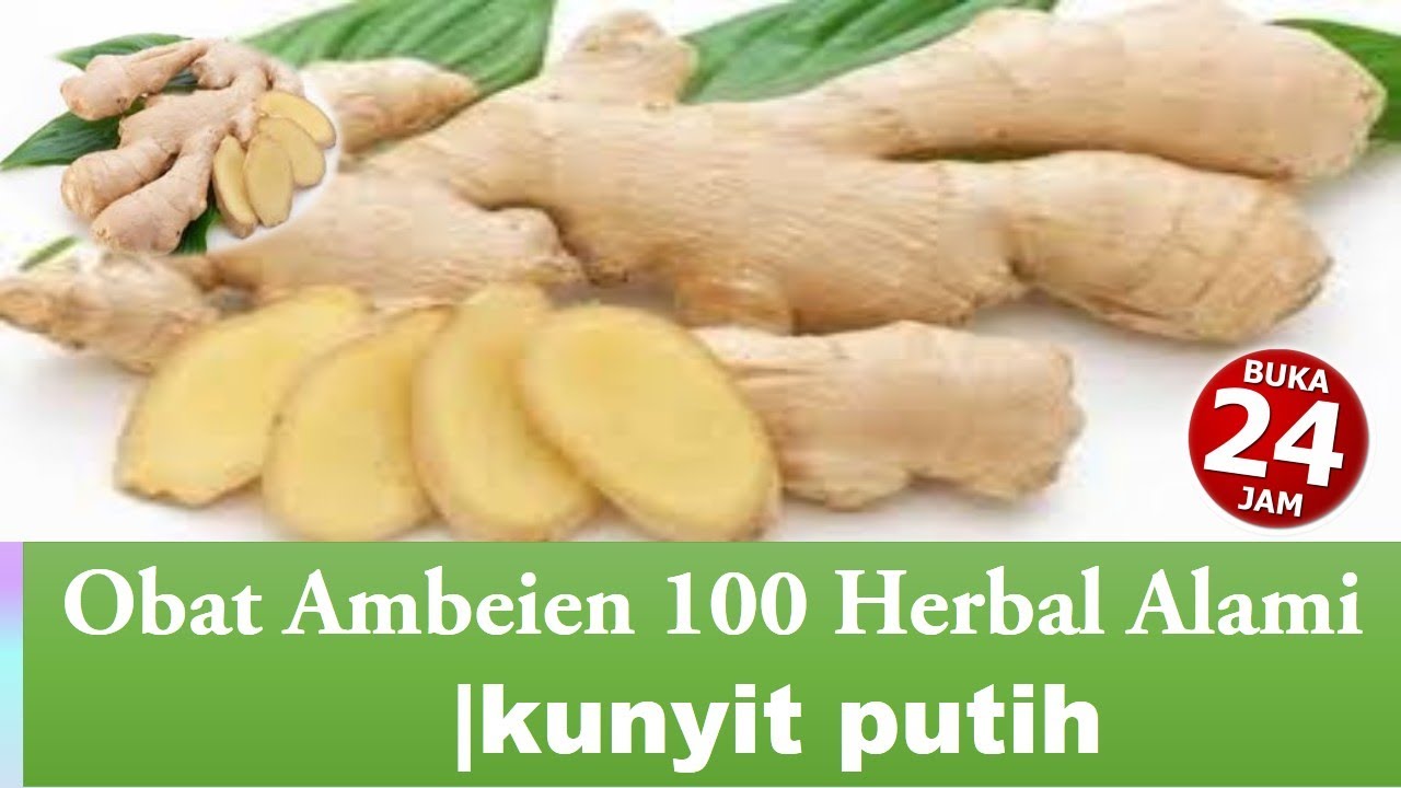 Obat Ambeien 100 Herbal Alami