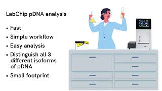 pDNA characterization in less than 2 min per sample