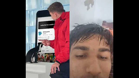 #penguin #subscribe #duet #mrbeast #funny #challenge #automobile #challenge #funny #tech