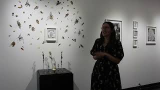 Soft Bloom Opening Reception | Bosque Gallery Artist Talk
