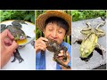 Give the bullfrog an egg  chinese mountain forest life and food moo tik tokfyp
