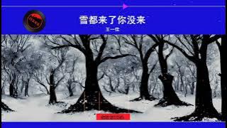 2024華語網絡流行音樂 ||《雪都來了你沒來》|| 王一佳 || 動態歌詞