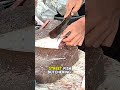 Street Fish Cutting Skills That Will Shock You! | Raw Fish Butchering ASMR #fish  #fillet #fishing