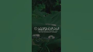 #تلاوت #تلاوات #قران_كريم #تلاوة_خاشعة #ترتیل #قرآن #هزاع_البلوشي #quran #عبدالرحمن_مسعد #ماهر_المعي