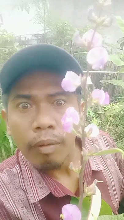 Pengantin baru Mantan pacar Gintip waktu mau nikah #shorts #cover #music #duet #musik