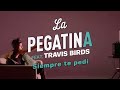 La Pegatina - Siempre te pedí ft. @Travis Birds (Lyric Video Oficial)