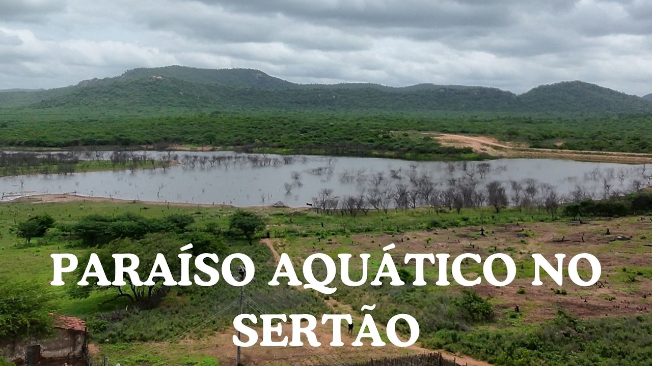 UM PARAÍSO AQUÁTICO NO CORAÇÃO DO SERTÃO CEARENSE: ASSENTAMENTO PAULO FREIRE