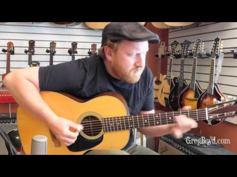 andy dunnigan dobro 1976 Martin 00-21