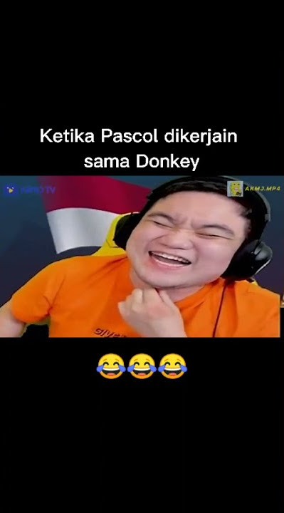 Momen lucu Donkey ngerjain Pascol sampai ngamuk