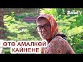 Өтө амалкөй кайнененин кылыктары