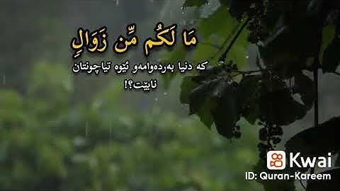 قران كريم بصوت جميل إشترك بالقناه لنستمر في نشر المزيد من العلم