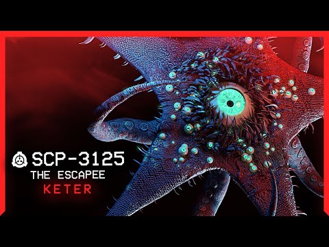 SCP-3041 │ The Red Artifact │ Safe │ Antimemetic SCP 