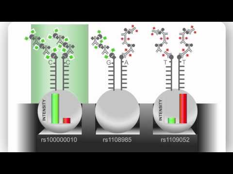 Video: Kritisk Evaluering Af Illumina MethylationEPIC BeadChip Mikroarray Til DNA-methyleringsprofil I Helgenom