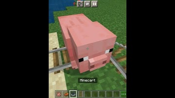 Can Ride Train With Pig ? | Minecraft #shorts