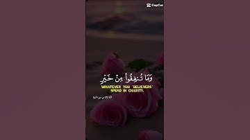 #قران_كريم #ارح_قلبك #تلاوة_خاشعة #
