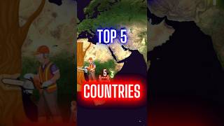 Top 5 Countries Where Forests Are Disappearing The Fastest