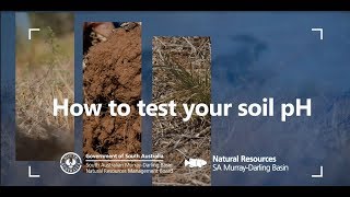 How to test your soil PH