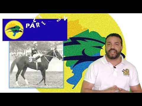 PÁREO DA SAUDADE - CLACKSON GP SÃO PAULO 1982