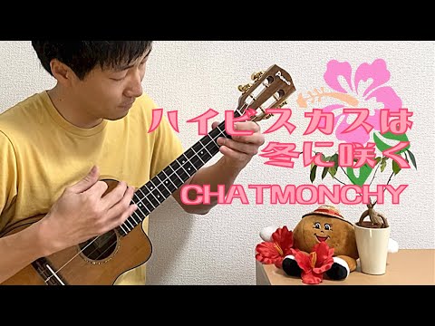 【TAB】ハイビスカスは冬に咲く / チャットモンチー -CHATMONCHY- をウクレレで弾いてみた！[ソロウクレレ -Solo ukulele-]
