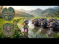 Animal Discovery #9: Water Buffalos!