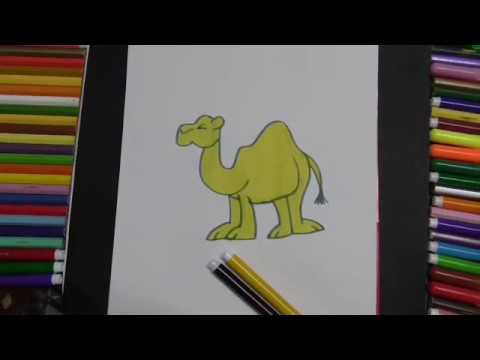 طريقة رسم ( الجمل )تعليم الرسم للمبتدئين - YouTube