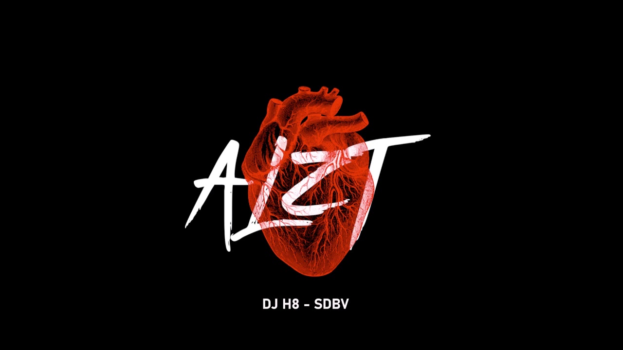 DJ H8 - Sdbv (Original Mix)