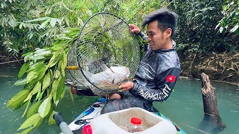4 Ngày Quay Trở Lại Thăm Bẫy Cá Khổng Lồ Trong Rừng Già | ￼ Fish Trap in the Rainforest